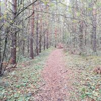 Ukonmäen Naturpfad
