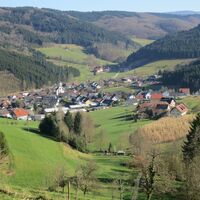 Blick vom Waldspielplatz