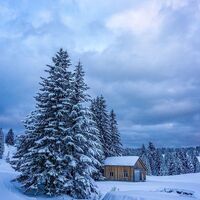 Winterlandschaft Hochhäderich
