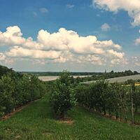Aussicht auf Renchen-Ulm