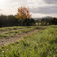 Waldretter-Trail_Herbst_HighRes-2