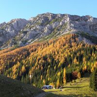 Edelweißhütte Ausblick