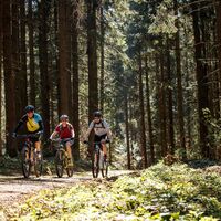 Mountainbiken in Haslach an der Mühl