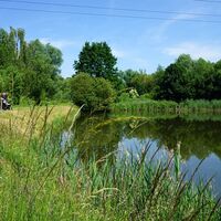 Angelweiher Vogelbach - Pfälzer Seentour - Pfälzer Moortour