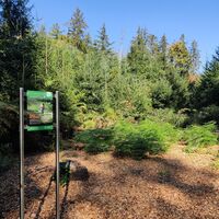 Station am Waldbadepfad Assamstadt