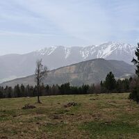Übergang zum "Öhlerschutzhaus"