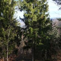Aufstieg am Kamm vor der Hirschwand