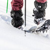 Schneeschuhwanderung