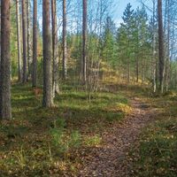 Surmilampi Weg, Aufstieg auf dem Grat