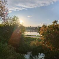 Ende der Runde am Erlauzwiesel Stausee
