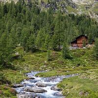NaturlehrwegDebanttal_cNationalparkHoheTauern_Kastl_Assil_133.JPG