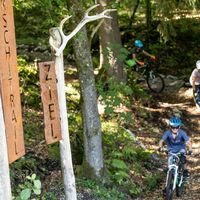 Hirschi Trail Kreuth