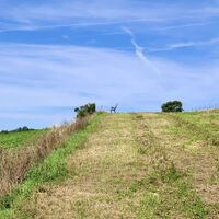 Groß-Schweinbarth, Hohlwegrunde