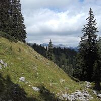 Auf dem Weg zur Sonnschien