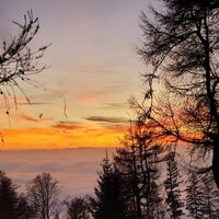 Zetz_Weiz_Oststeiermark