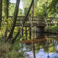 Wandern auf der Heideschleife Müden 