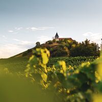 Michaelsberg Cleebronn