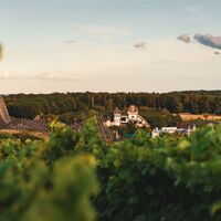 Erlebnispark Tripsdrill | Cleebronn | HeilbronnerLand