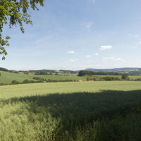 Landschaft bei Burg Sternberg CC BY-SA - LTM.jpg