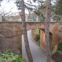 Fels - Absdorf
