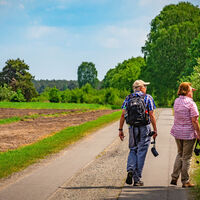 Befestigter Wegabschnitt des NORDPFADES Kirchsteg-Moore-Bäche im Lohmoor