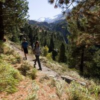 Wanderung durch den Zirbenwald