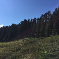Wanderung Richtung Grünwaslekreuz