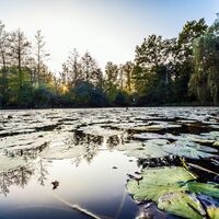 Der Hermannsee bei Karlsbad