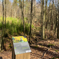 Spielestation am Osterbach Naturpark Reinhardswald