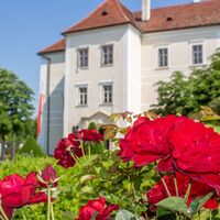 Wasserschloss Burgau