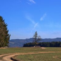 Über Niederarnsdorf zum Haunsberg