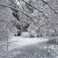 Teiche im Wüstlangenbachtal im Winter