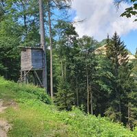 Hinter den Bäumen der Trichterabbau