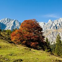 Wunderbare Natur