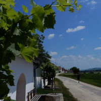 Alberndorf - Patzmannsdorf