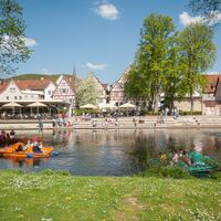 Der Stadtpark Kleb im Sommer mit Tretbooten auf der Nagold