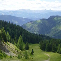 über die Piste / Forststraße gehts zurück ins Tal