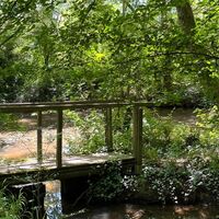 Agenda en ligne - SBT - 11