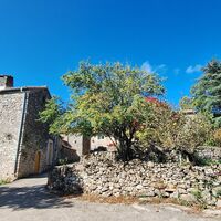 georando sorbs 36 -@ Sylvie Villedieu - CD34