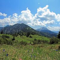 Blick vom Schildensteinsattel zur Blaubergschneid u. Guffert