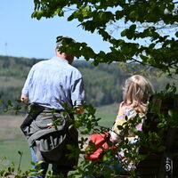 Waldsofa an der Steinbergrouine