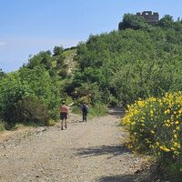 13.1 km Am Rückweg knapp vor dem Forte Puin links hinunter