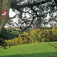 Markierung Erlebniswege Sieg