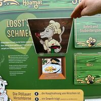 Edlseer-Alm10_Birlkfeld_Oststeiermark