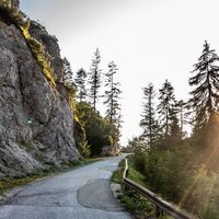 durch die Hühnermauer