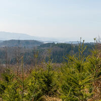 Blick ins Land