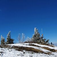 5.0 km Unterberg Gipfelkreuz