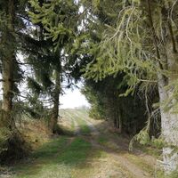 Zwischen Teichleite und Eichleite