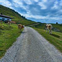 Kössen Schmugglerregion Klausenberg Fellhorn