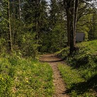 20250428_Leitenrundweg_3786.jpg
